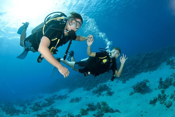 Experience the thrill of diving into crystal-clear waters exploring the vibrant marine life of Fujairah. A journey awaits beneath the waves revealing a world of wonder and beauty.